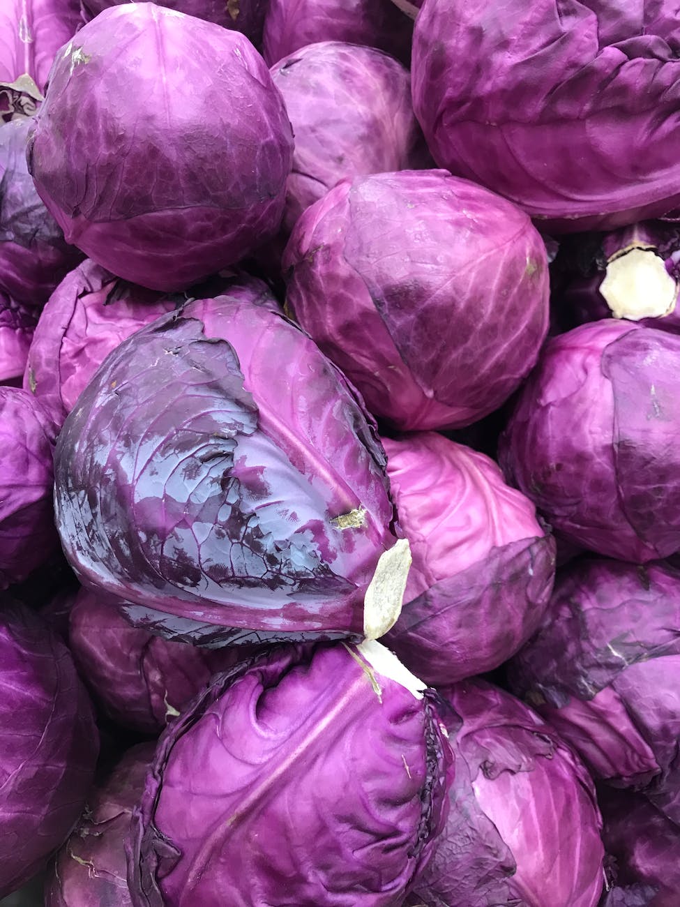 close up of violet cabbage pile
